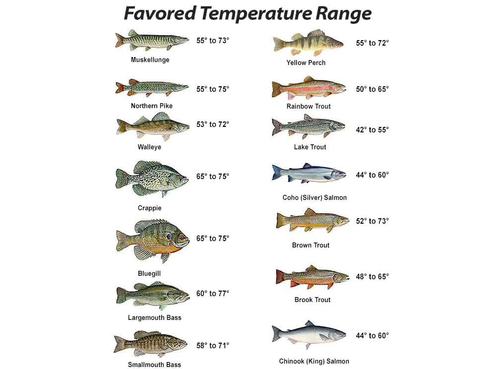 Favored Fish Temperatures