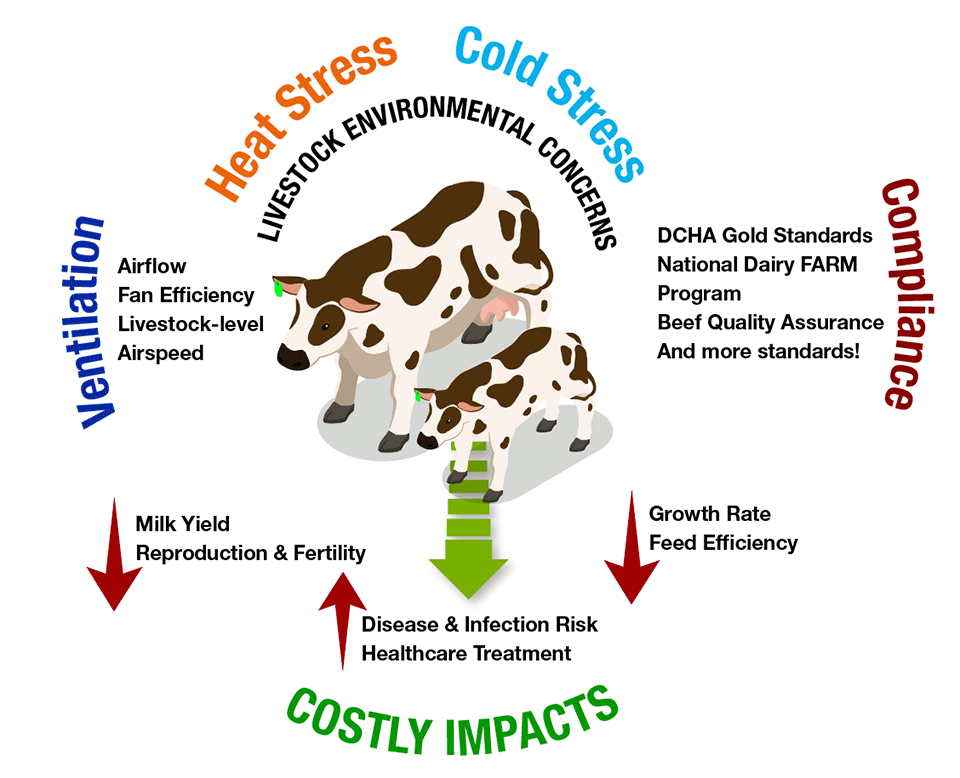 Heat Stress and Cold Stress on LIvestock