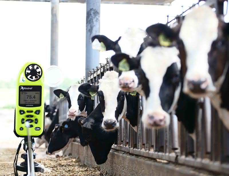 Manage Heat Stressed Dairy Cows