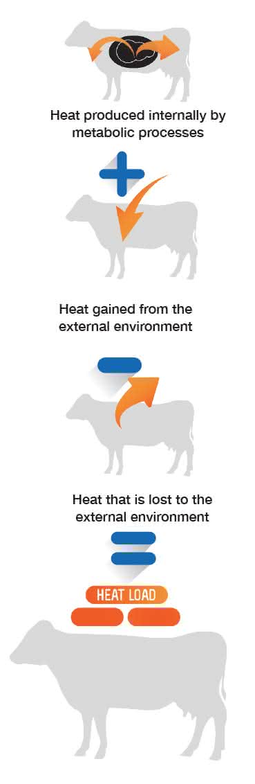 Kestrel meters can measure heat stress and heat load in cattle