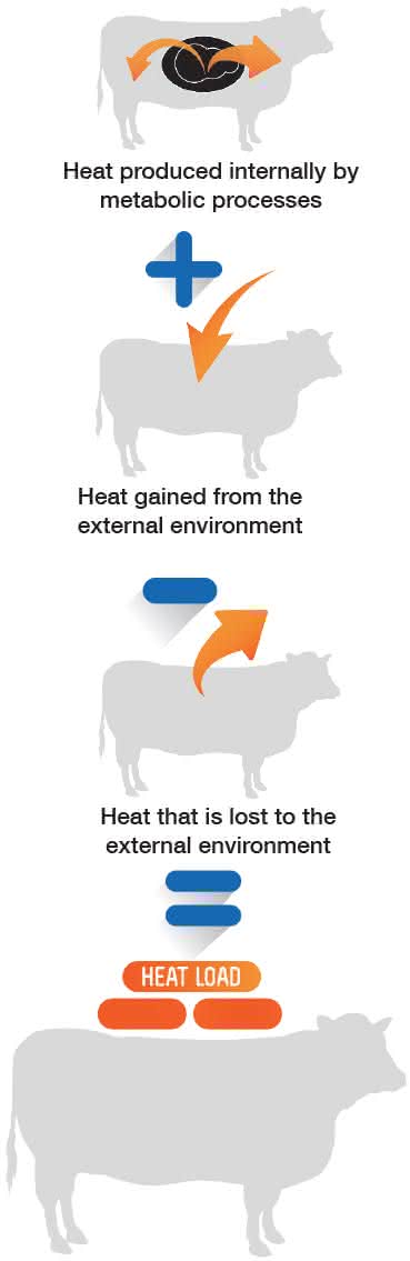 Kestrel meters can measure heat stress and heat load in cattle